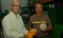 Joël Grondin, directeur de la Sica TR, et Vincent Sorres, président de la structure coopérative (Photo D.R.)