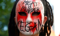 Une manifestante de l'association L214 qui réclame la fermeture de tous les abattoirs, à Paris, le 10 juin 2017 