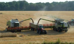 Les terres sont sous une pression croissante des activités humaines et le changement climatique est un poids supplémentaire, selon un rapport du Giec