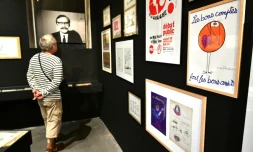 Une personne visite une exposition consacrée aux Shadoks, créés par Jacques Rouxel, au Musée international des arts modestes de Sète le 17 septembre 2016