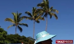 Chapeaux à La Réunion