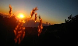 Lever de soleil (Photo Marie Trouvé)