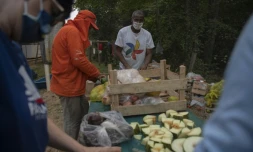 Le détenu Eliseu dos Santos (c) participe à une distribution de nourriture pour les animaux près de la route Transpantaneira, le 19 septembre 2020 dans le Pantanal brésilien ravagé par les incendies 