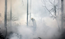 Un pompier lutte contre le feu à Belin-Béliet, dans le sud-ouest de la France, le 13 août 2022