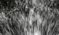 Eau