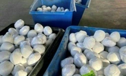 Cette image fournie par les douanes américaines montre les caisses de méthamphétamines emballées sous la forme d'oignons, au millieu desquelles la drogue était cachée