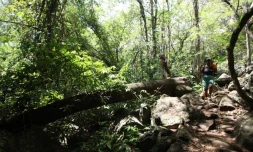 Vendredi 7 Janvier 2011
Sentier botanique de La Providence
(Photo Marie Trouvé)