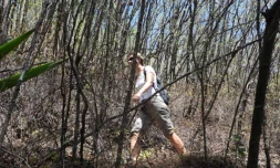 Vendredi 7 Janvier 2011

Sentier botanique de La Providence 

(Photo Marie Trouvé)