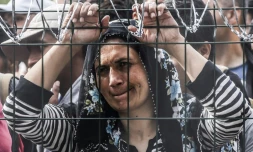 Une femme bloquée derrière la clôture de barbelés le 16 septembre 2015 à Horgos à la frontière entre la Hongrie et la Serbie 