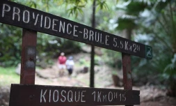 Vendredi 7 Janvier 2011

Sentier botanique de La Providence 

(Photo Marie Trouvé)