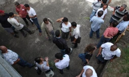 Mercredi 12 Janvier 2011

Les syndicats agricoles à la direction de l'alimentation de l'agriculture et de la forêt (Daaf)

(Photo Marie Trouvé)