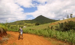 Paysage agricole à Madagascar (Photo Archives)