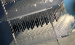 Des flacons et des seringues destinés au vaccin de BioNTech/Pfizer contre le coronavirus, fabriqués par le spécialiste allemand du verre Schott, au siège de l'entreprise à Mayence (Allemagne), le 20 novembre 2020