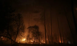 Incendie de forêt près de la plage du lac de Cazaux, à la Teste-de-Buch, en Gironde, le 15 juillet 2022