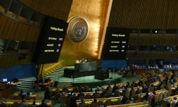Vote à l'Assemblée générale des Nations unies sur un "cessez-le-feu humanitaire immédiat" dans la bande de Gaza, le 12 décembre 2023 au siÚge de l'ONU à New York