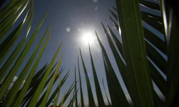 2011: année la plus chaude