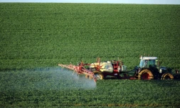 Des condamnations allant jusqu'à deux ans de prison ferme requises devant le tribunal correctionnel de Marseille contre plusieurs acteurs du marché européen des produits phytosanitaires, jugés pour tromperie