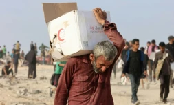 Plus de 21 mois de guerre ont déplacé la quasi-totalité de la population de Gaza et provoqué de graves pénuries de nourriture et d'autres produits de première nécessité