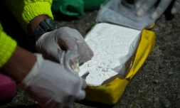 La production de cocaïne a augmenté de 5,9% en 2018 par rapport à 2017 en Colombie, principal pays producteur de cette drogue, selon l'ONU
