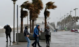 La tempête "Gloria" balaie l'est de l'Espagne à Valencia, le 20 janvier 2020