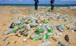 Nettoyage d'une plage envahie par les déchets en plastique à Mount Lavinia, près de Colombo, le 5 juin 2020 au Sri Lanka