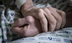 La population française va continuer à croßtre jusqu'en 2044, mais le vieillissement démographique l'entraßnera ensuite à la baisse, en tout cas si la fécondité et le solde migratoire restent à leurs niveaux actuels