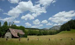 Depuis 08h00 mardi, le hameau du Haut-Vernet dans les Alpes-de-Haute-Provence, oĂč a disparu le petit Emile samedi, est "sanctuarisĂ©" par la gendarmerie et "les opĂ©rations de ratissage" du minuscule bourg ont dĂ©butĂ©