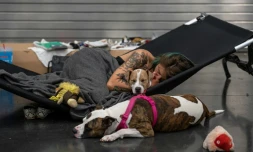 Austun Wilde se repose avec ses deux chiens le 27 juin 2021 dans un centre de rafraîchissement ouvert à Portland, dans l'Oregon pour permettre aux habitants de fuir la chaleur record qui frappe l'Ouest des Etats-Unis et du Canada