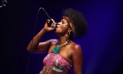 Vendredi 4 Février 2011

Concert de Christine Salem au Téat Champ Fleuri

(Photo Marie Trouvé)