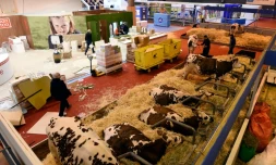 Vue générale du Salon de l'Agriculture le 26 février 2016 à Paris