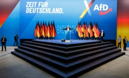 Alice Weidel, codirigeante du parti d'extrême droite Alternative pour l'Allemagne (AfD), s'adresse aux délégués lors d'un congrès du parti le 11 janvier 2025 à Riesa, dans l'est de l'Allemagne