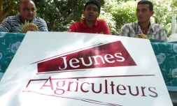 Lundi 7 février 2011: Conférence de presse des Jeunes Agriculteurs de La Réunion (photo: Mounice Najafaly)