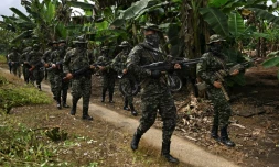 Des membres de la Segunda Marquetalia, guérilla de la dissidence des Farc, le 31 août 2024 à Llorente, dans la municipalité de Tumaco, en Colombie