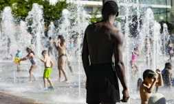 Au Parc Andre Citroen à Paris le 5 août 2018