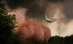 Un avion largue du retardant sur un incendie de forêt près de Saint-Magne, le 11 août 2022 en Gironde