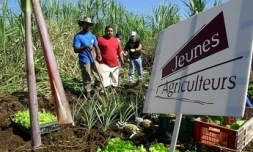 Opération  de sensibilisation du syndicat des Jeunes Agriculteurs (photo Archives)