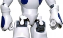 Le robot Nao (Photo DR)