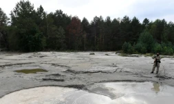 Un policier traque les prospecteurs illégaux d'ambre à Kryvytsya, dans le nord-ouest de l'Ukraine, le 22 septembre 2017