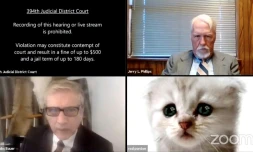 Capture d'Ă©cran de la visioconfĂ©rence oĂč l'avocat texan Rod Ponton est apparu en chat