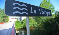 Murielle Bolle, 48 ans, témoin clé dans l'enquête sur la mort de Grégory Villemin interpellée à son domicile de Granges-sur-Vologne (Vosges)