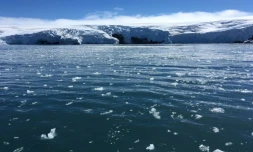 Des blocs de glace au large du glacier Collins, le 2 février 2018 sur l'île du Roi-George, en Antarctique