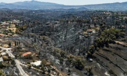 Vue aérienne de zones calcinées après un incendie de forêt à Varnavas, près d'Athènes, le 14 août 2024 en Grèce