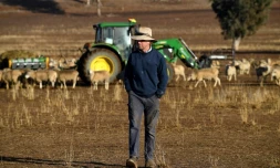 Clive Barton, un fermier australien, marche sur terres asséchées dans la région de Duri, en Nouvelle-Galles du Sud, le 7 août 2018