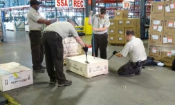 Des inspecteurs du service de la faune américaine à l'aéroport international de Miami le 3 février 2016