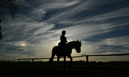 Une promenade à cheval en Bavière, dans le sud de l'Allemagne, le 2 novembre 2014