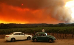 Le LNU Lightning Complex, principal incendie qui ravage le nord de la Californie