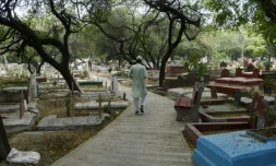 En pleine pandémie, les insomnies d'un fossoyeur indien