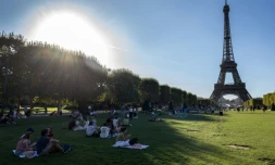 Des personnes profitent de l'ombre sur les pelouses du Champs de Mars, devant la Tour Eiffel, à Paris, pendant un épisode de canicule, le 21 août 2023