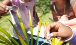 Présentation de la mallette pédagogique du l'ONF, lundi 4 avril 2011 (Photos Jean Noël Enilorac)