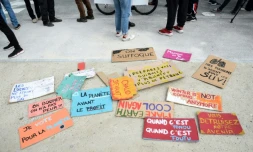 Revendications lors d'une manifestation pour le climat, le 14 mars 2020 à Bordeaux